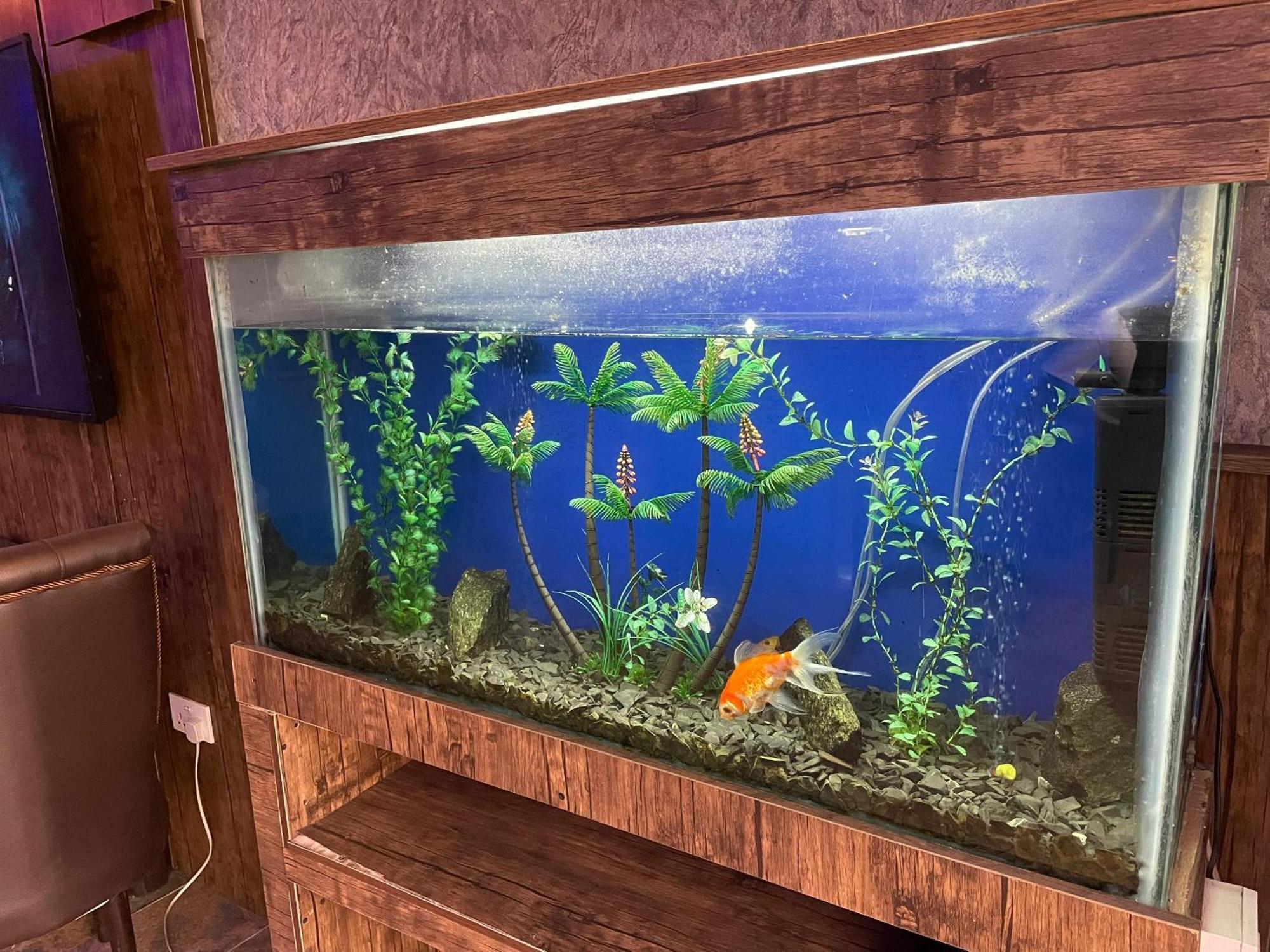 Presken Hotels @Fajodd-4 伊凯贾 外观 照片